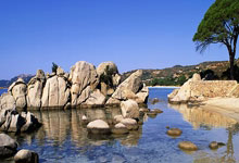 KAIYUN全明星赛关键时刻走向成谜，萨克拉门托国王防线松动，话题不断，高层口径保持一致的简单介绍